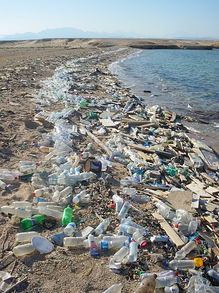 File:Beach in Sharm el-Naga03.jpg